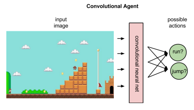 convolutional agent