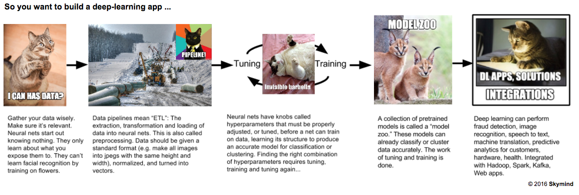 deep learning workflow with cats