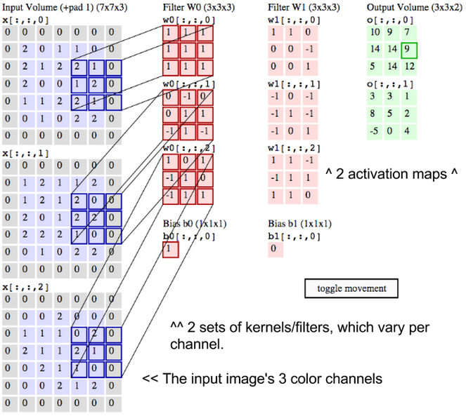 convolutional network labels